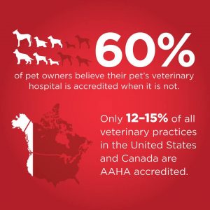 AAHA Accredited - 60% of pet owners