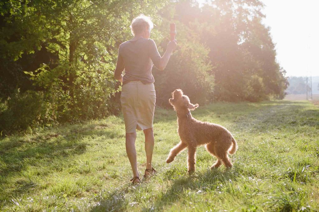pet well-being