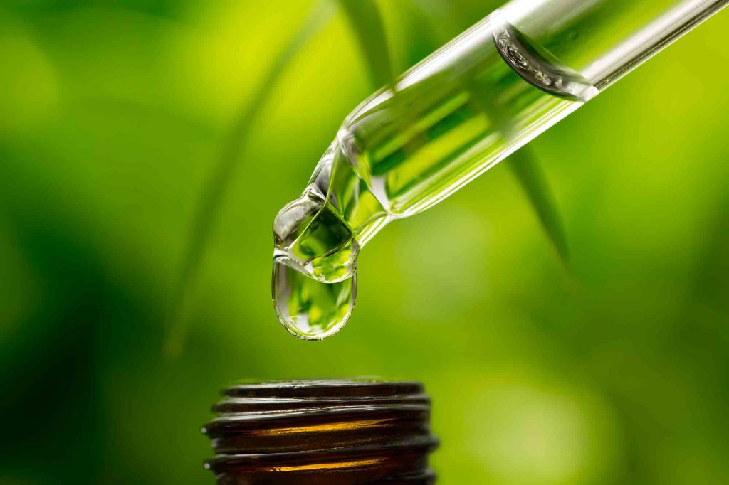 CBD oil for pets