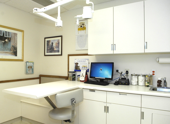 View of hospital exam room