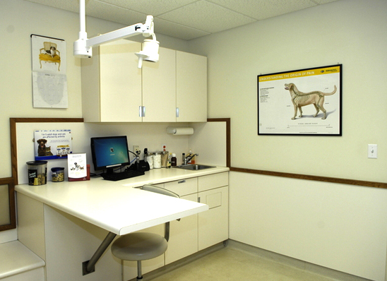 View of hospital exam room