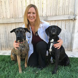 Amber Korner, DVM Amber Korner, DVM